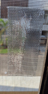 Photo from a customer review